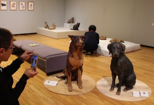 星見つめる動物彫刻 市立博物館で特別展