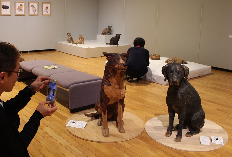 星見つめる動物彫刻  市立博物館で特別展
