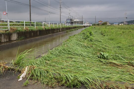 道路の冠水などで渋滞発生も　四日市市