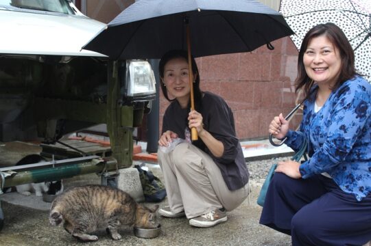 地域猫になって助かる命　アクアイグニスで啓発マルシェ