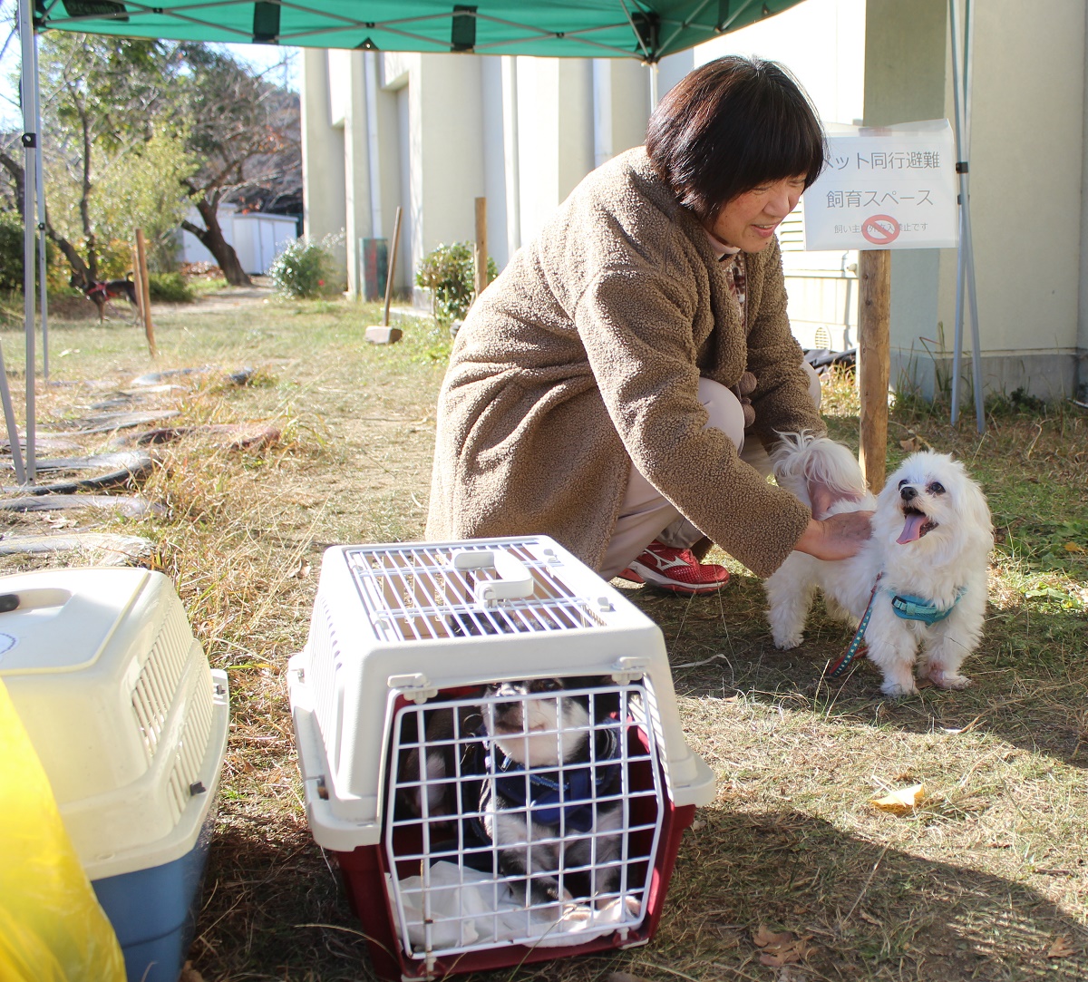 ペットと一緒の避難想定　常磐地区が避難所訓練に導入