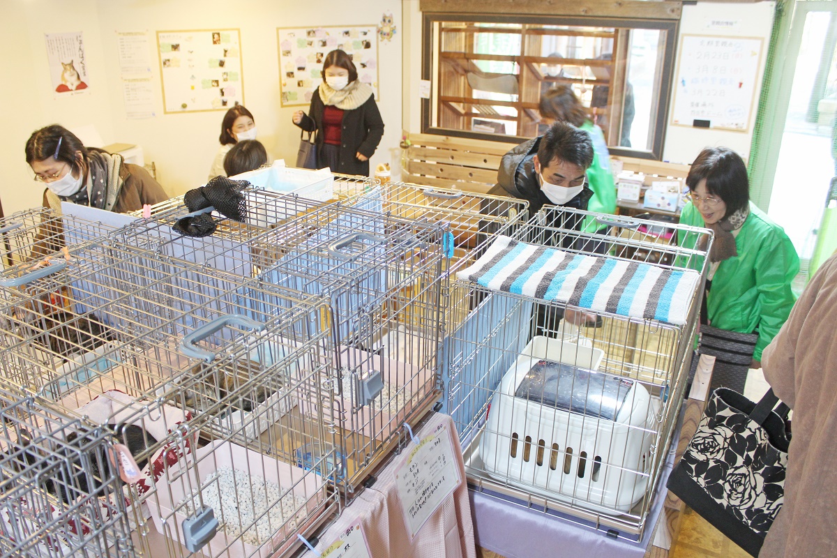 「すわねこハウス」が完成　里親会の新会場に
