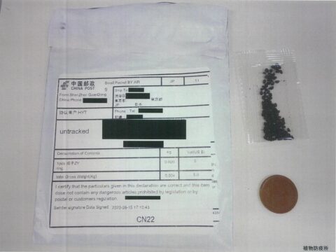 注文していない種子が海外から届く　市がホームページで注意呼びかけ