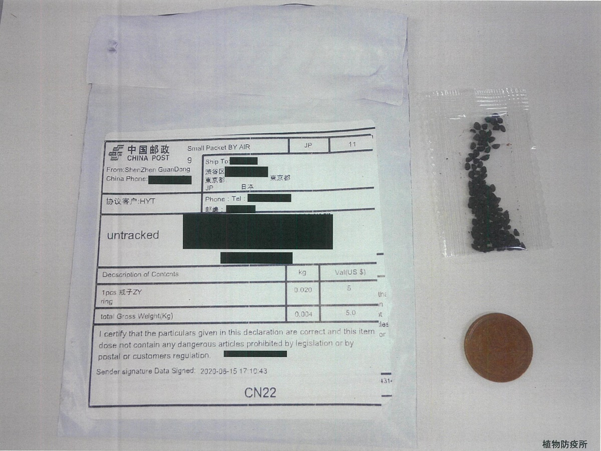 注文していない種子が海外から届く　市がホームページで注意呼びかけ