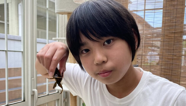 タガメのつがい飼育「自然界の掟実感」　富洲原中・水谷君