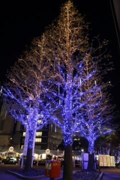 近鉄四日市駅前のイルミネーション