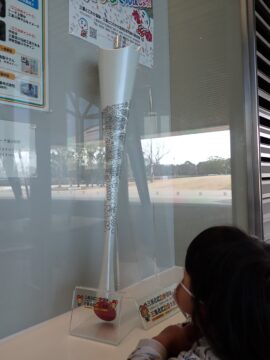 国体炬火トーチを市総合体育館に展示　四日市市