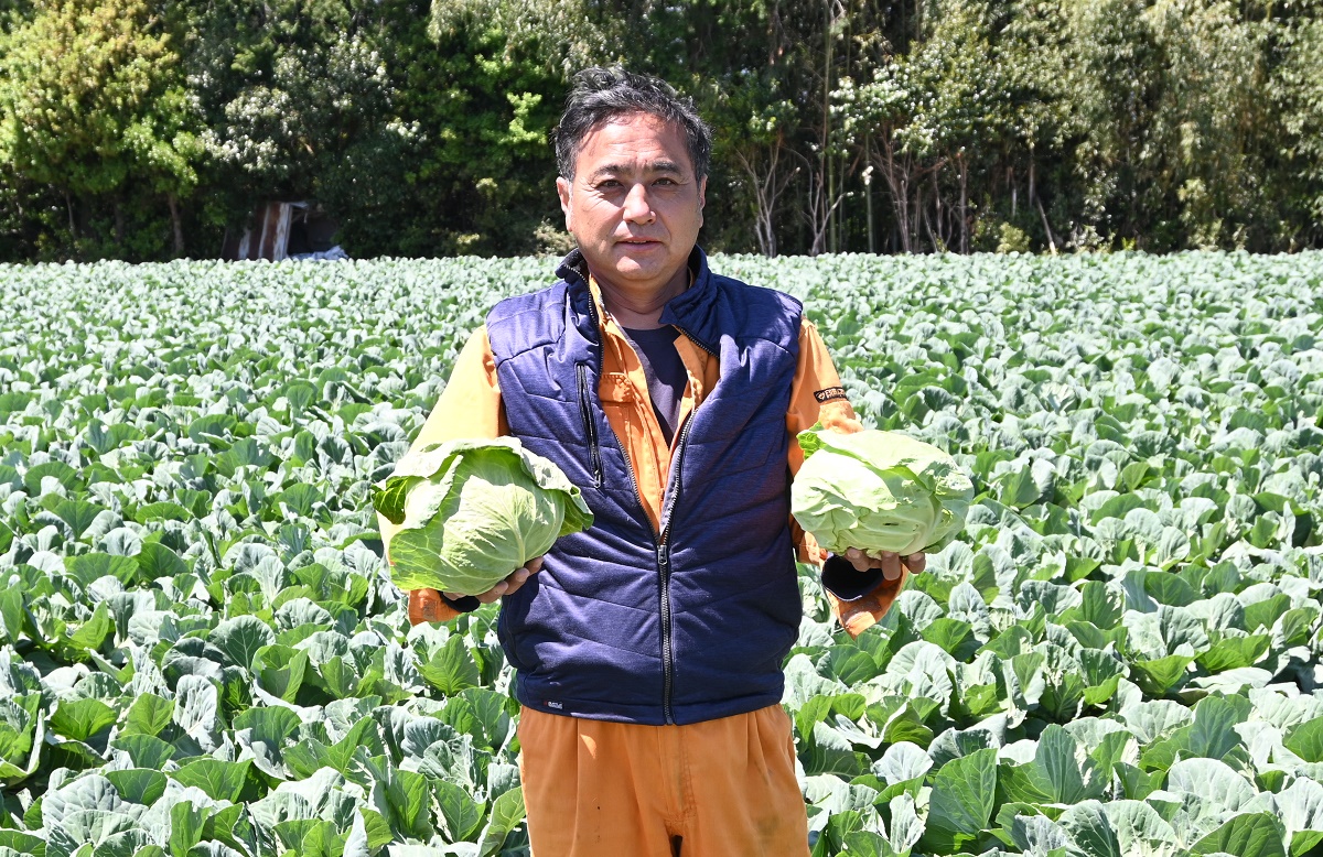 【野菜を食べよう】食べてくれる方の期待に応えたい