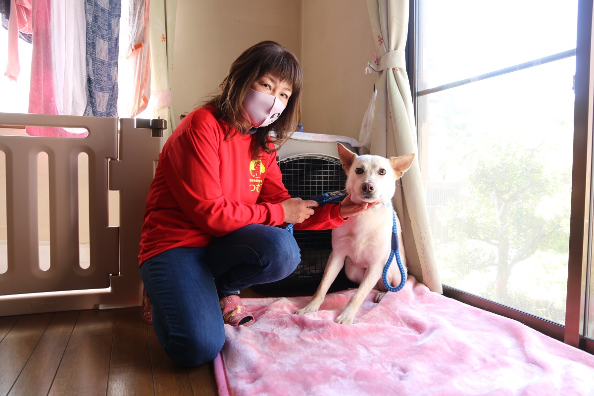 野犬ゼロを目指して 　野犬全頭救出プロジェクト