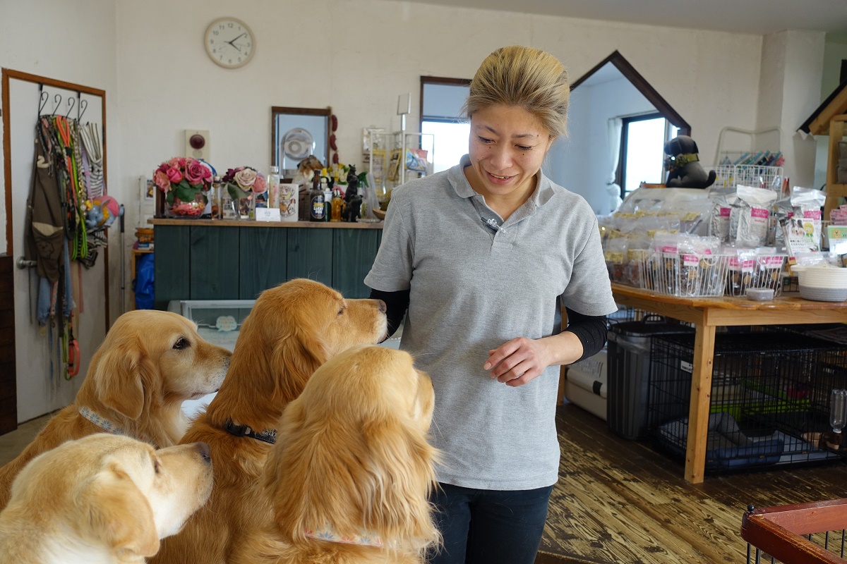 保護犬という選択肢を　カフェとSNSで情報発信