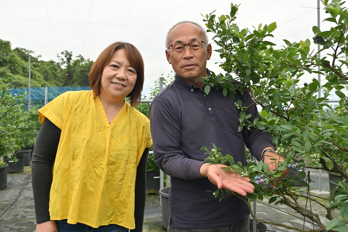 甘くて美味しくて大きいブルーベリー