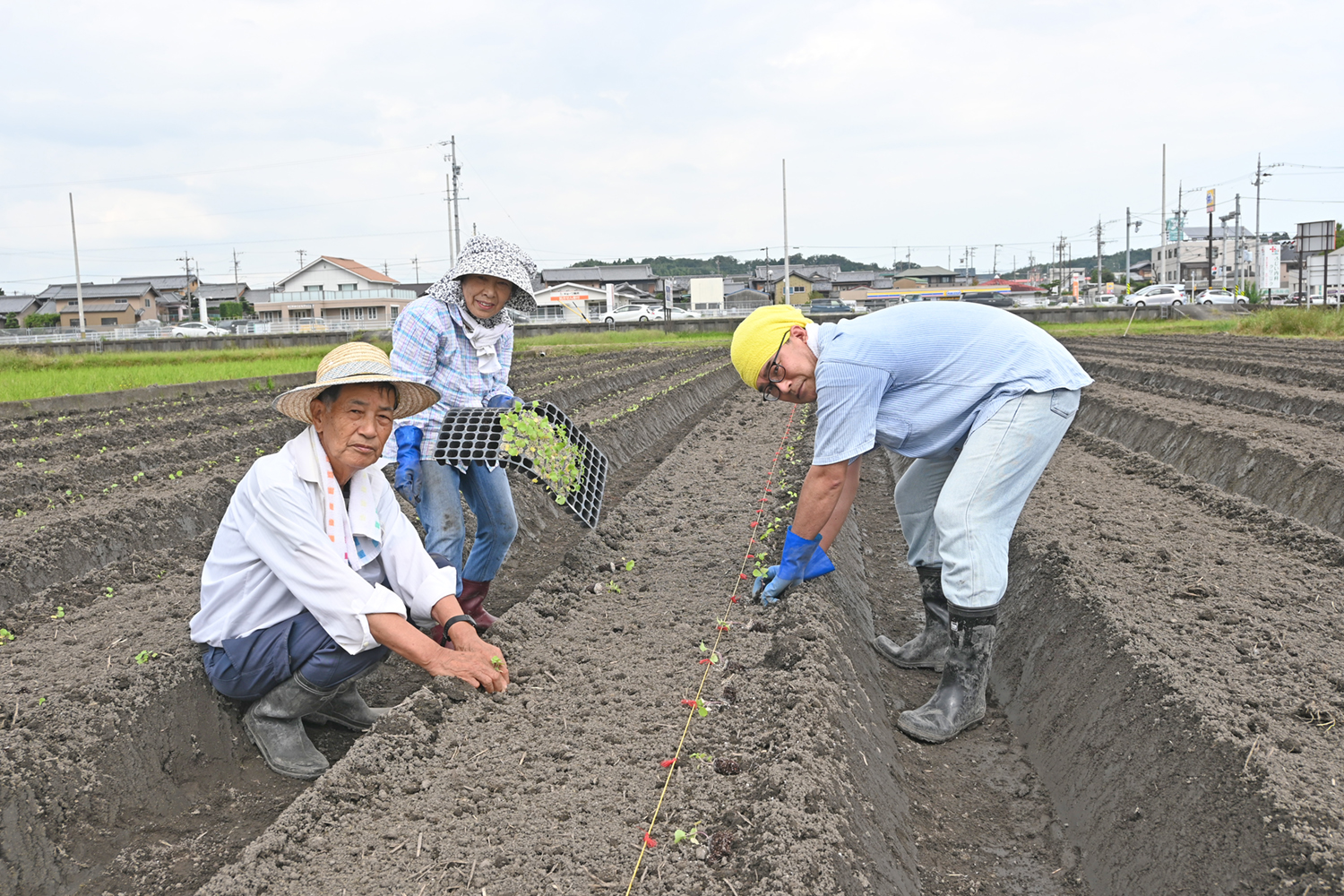 三重のブランド野菜 なばなを育てる　内田幸輝さん