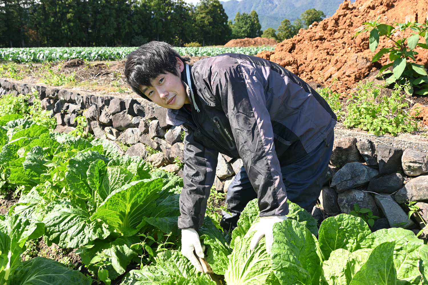 自分の名前付いた野菜を　伊藤 俊寛さん