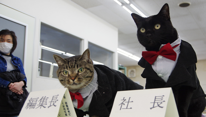 猫2匹が一日社長・編集長に就任　会社貢献で辞令交付「スーパー猫の日」　三重県のユー