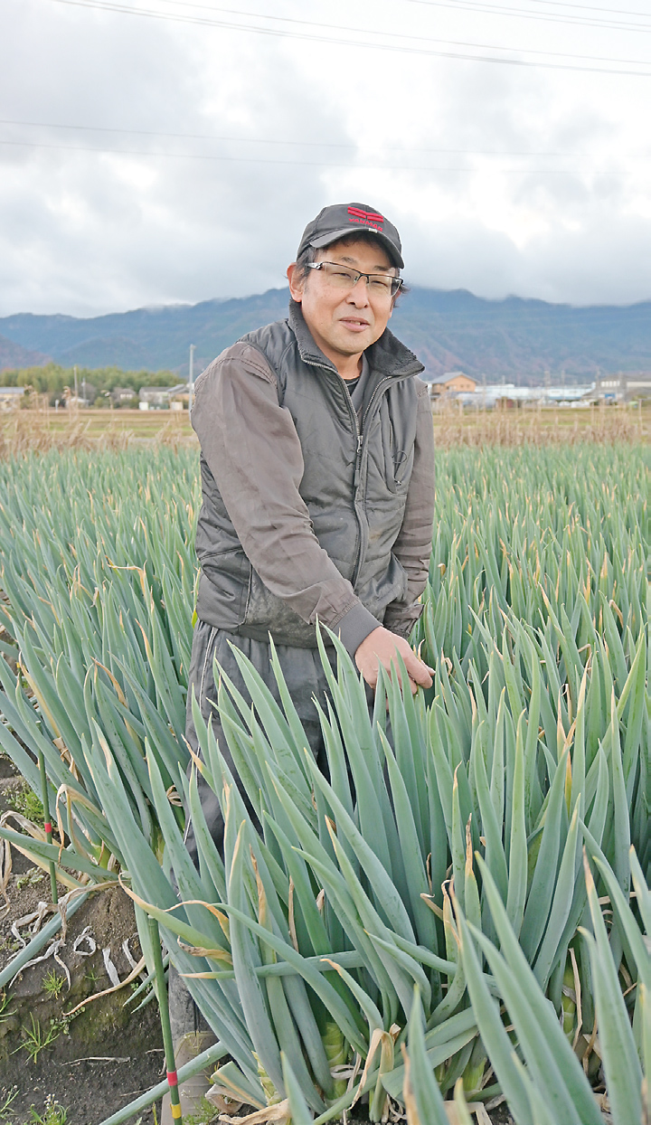 白ネギの一生を見届ける　内田一哉さん