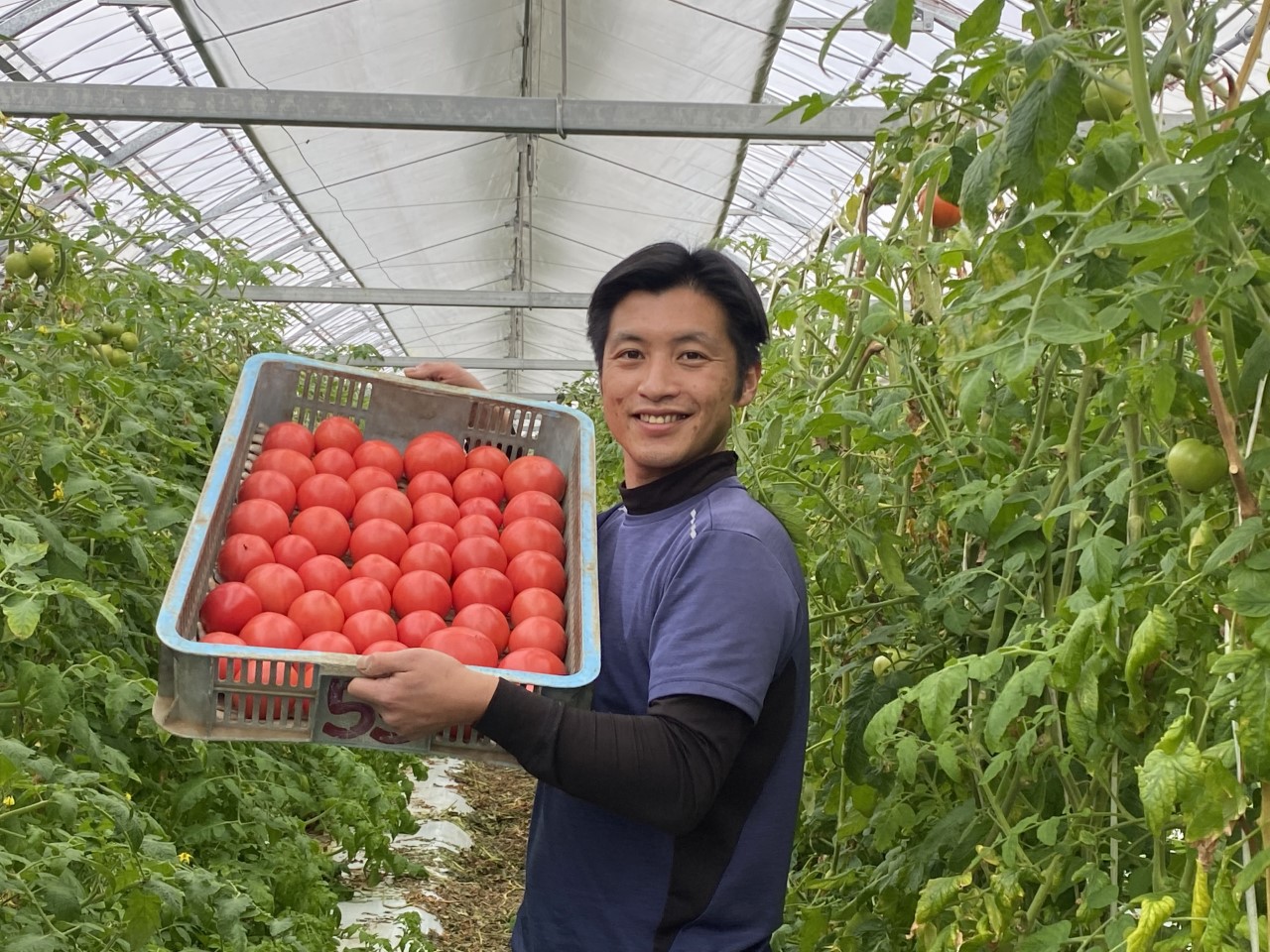コラム「野菜を食べよう」　自販機でも販売を