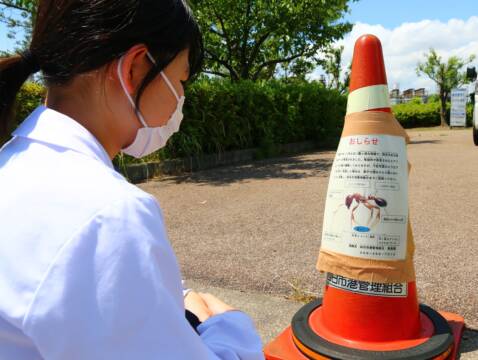 四日市港のヒアリ防除活動終了　定期調査は継続