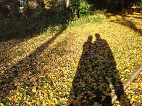 ＜PR＞コラム　「婚活道場」～紅葉を誰と観るかが重要～