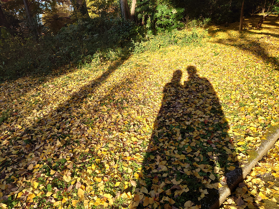 ＜PR＞コラム　「婚活道場」～紅葉を誰と観るかが重要～