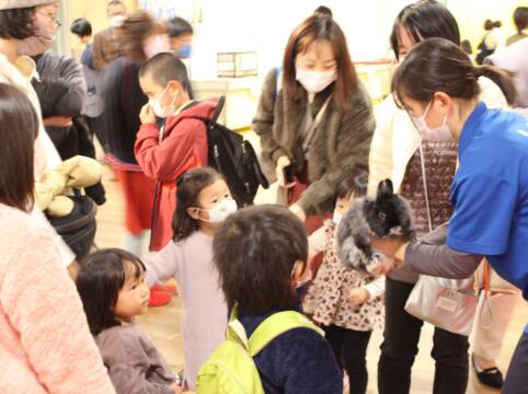 ウサギと遊び、白蛇と記念写真、四日市の近鉄百貨店でふれあい動物園