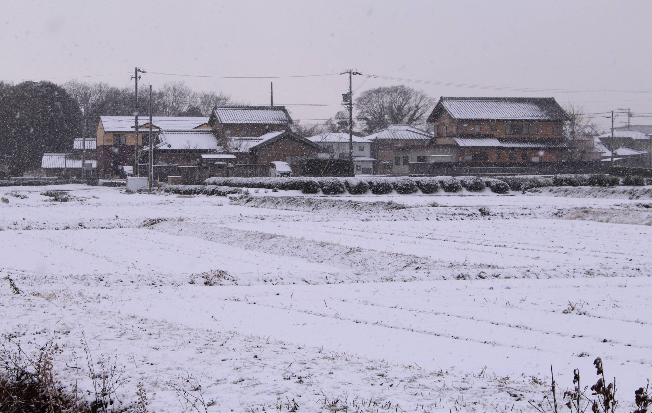 四日市市でうっすら雪、三重県北部は本格的な積雪も