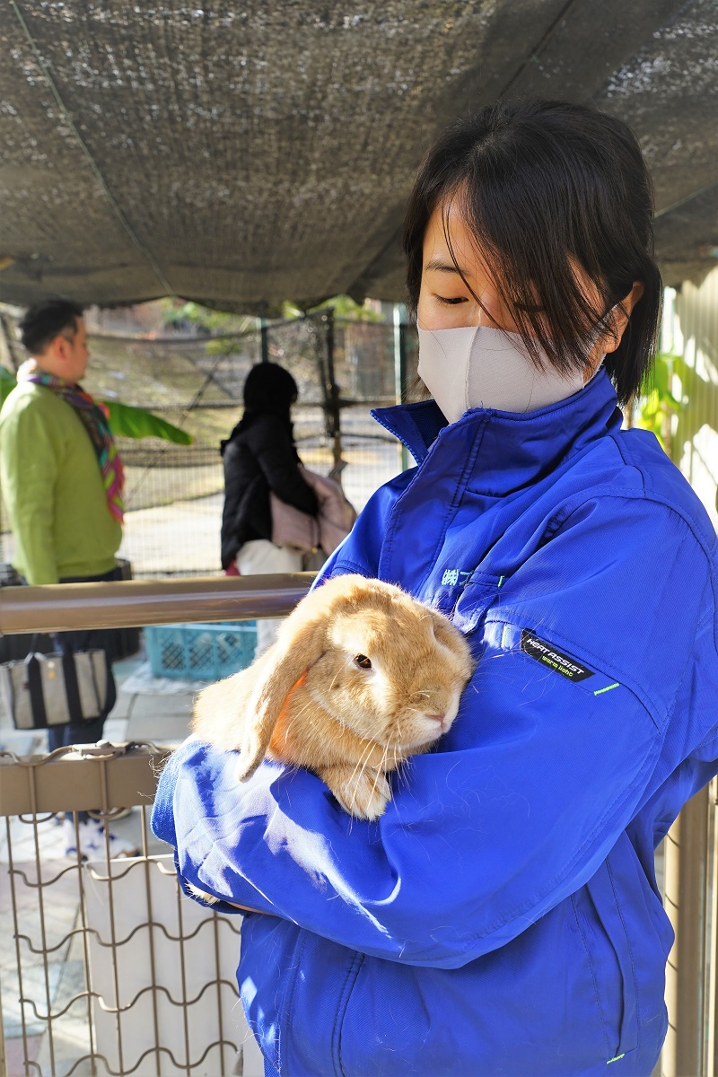 今年は卯年　ウサギと触れ合える　南部丘陵公園の小動物園
