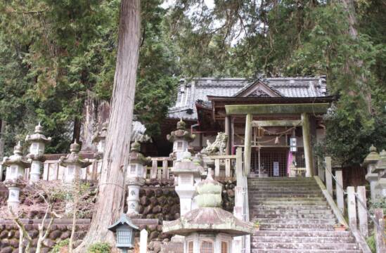 四日市に「ご近所パワースポット」、運気あがる？お試しあれ