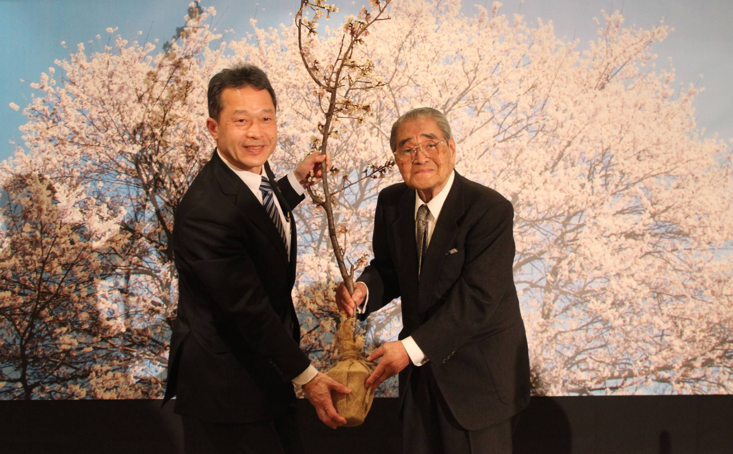 桜の名所増やしたい、岡田文化財団が三重県「さくらプロジェクト」を発表、苗木5000本を寄贈へ