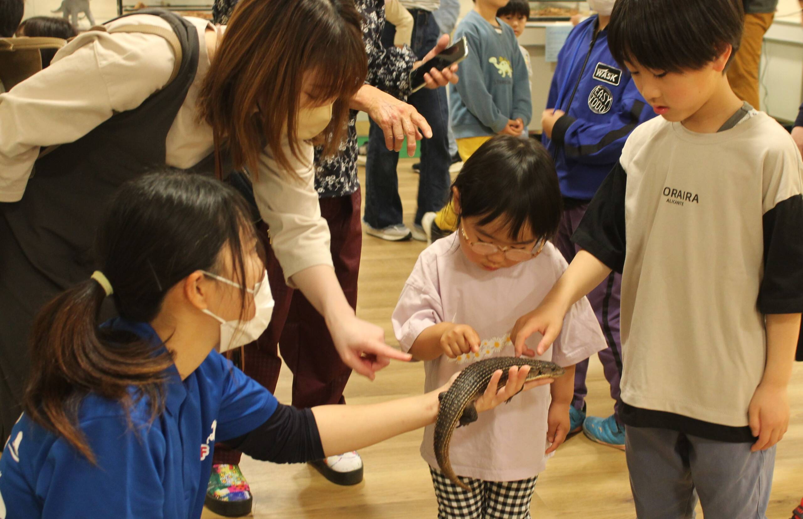 「生きたミニチュア恐竜展」家族でにぎわう、近鉄百貨店四日市店