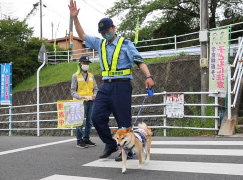 交通安全指導に広報犬「豆助」　四日市市山田町で下校児童見守り