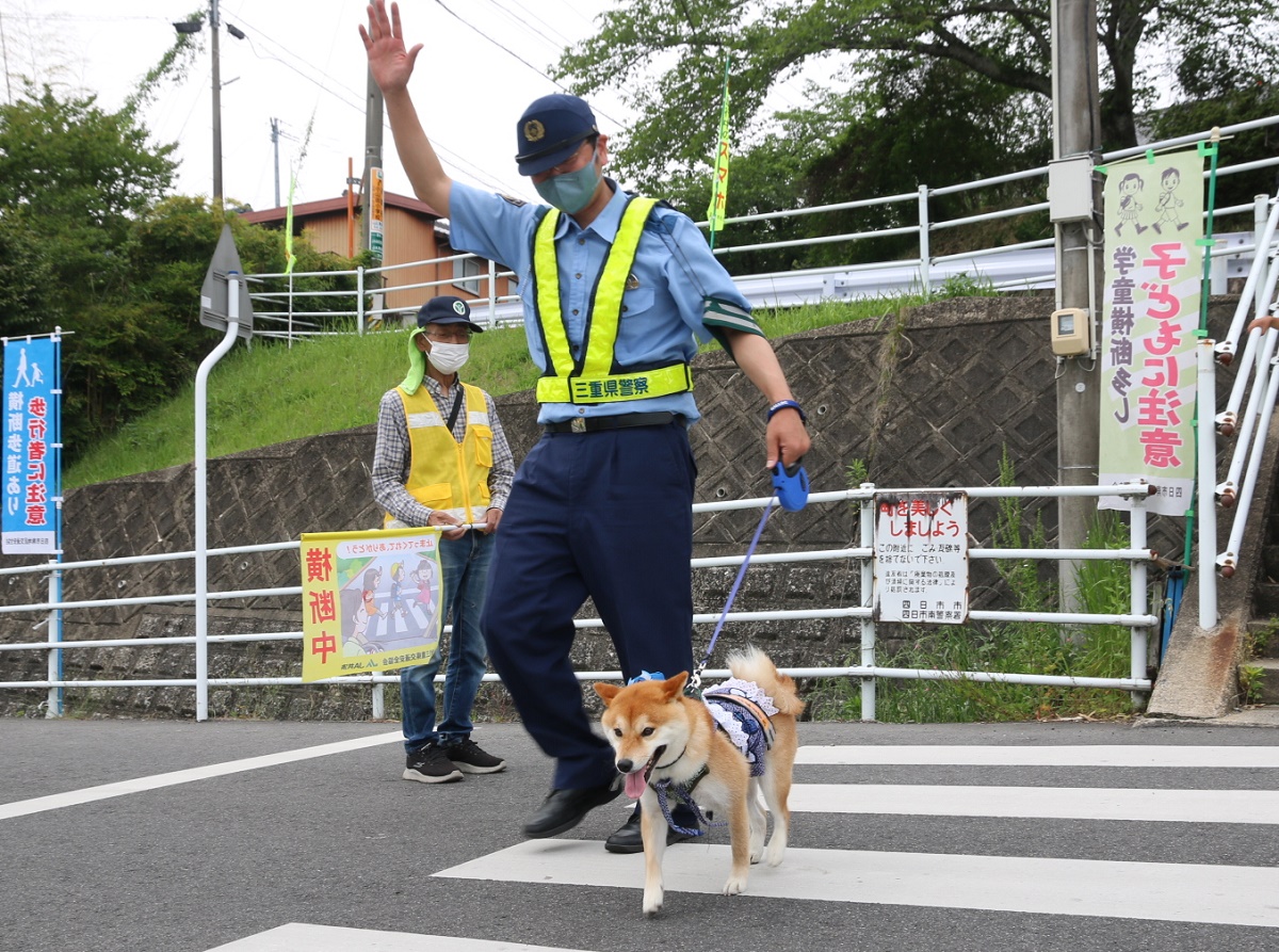 交通安全指導に広報犬「豆助」　四日市市山田町で下校児童見守り