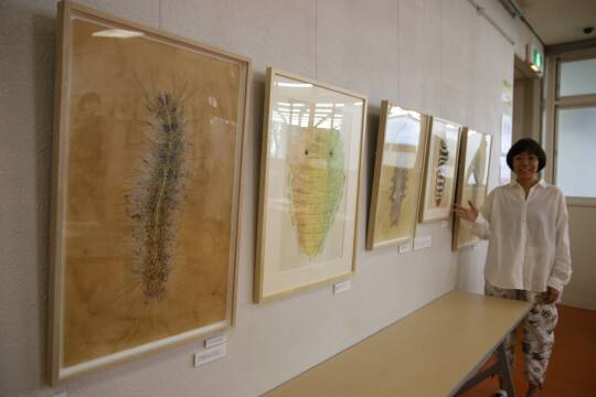 「イモムシ画家」の桃山鈴子さん　四日市市立図書館で原画展示　11月26日まで