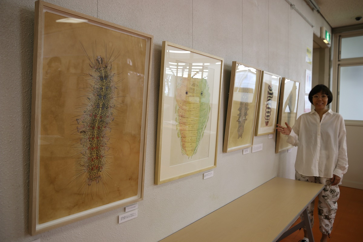 「イモムシ画家」の桃山鈴子さん　四日市市立図書館で原画展示　11月26日まで