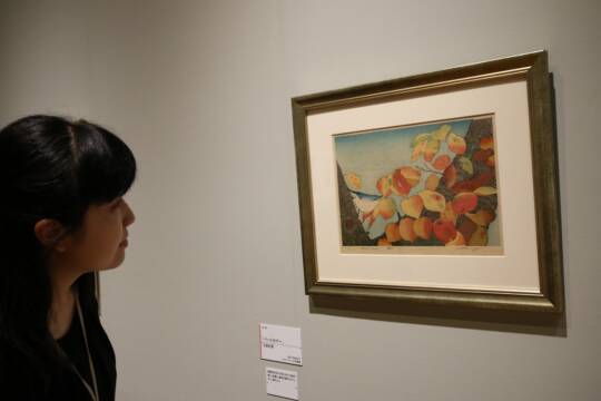 四日市ゆかりの木版画家・立原位貫　美しさと面白さを紹介　四日市市立博物館で特別展はじまる