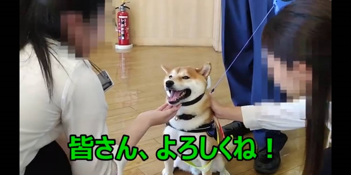 広報犬「豆助」が警部役で出演の広報動画　四日市南警察署員や防犯協会関係者も熱演　動画サイトで配信開始　