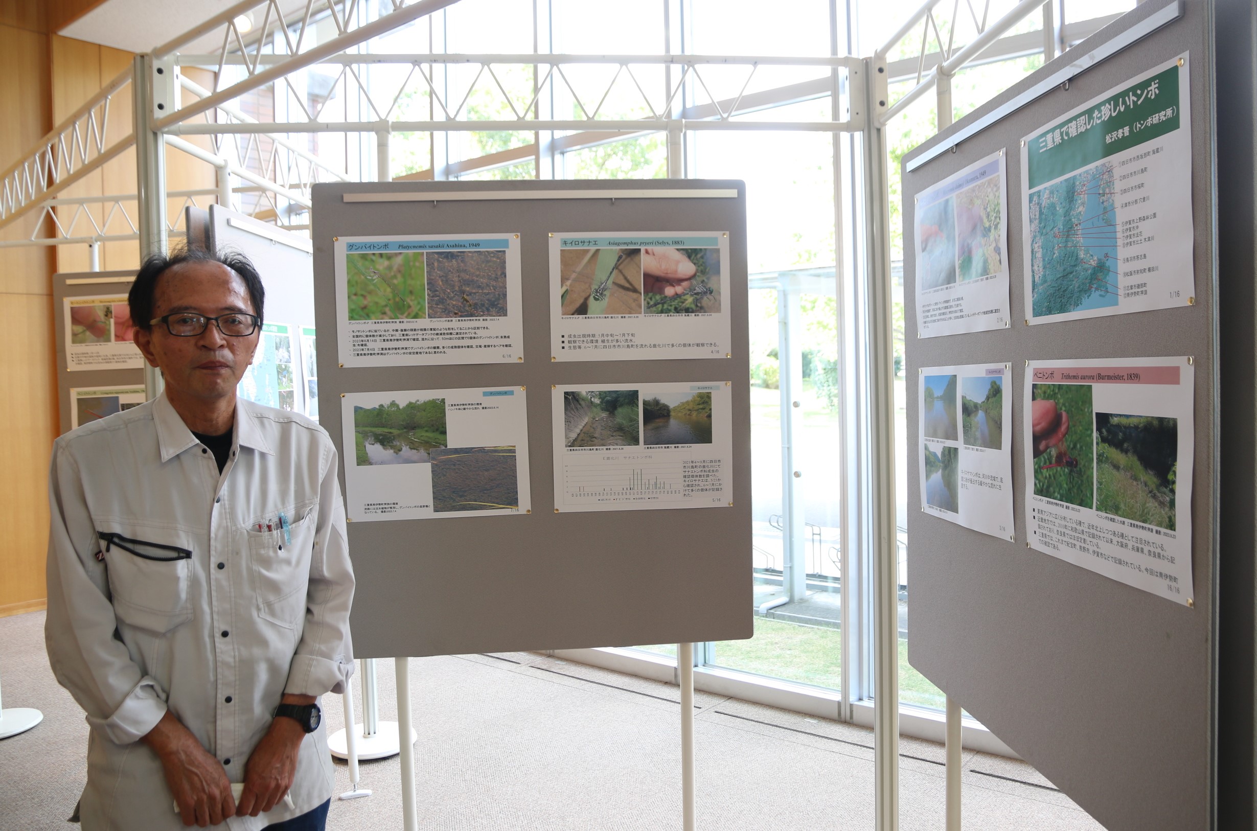 図書館でトンボの生態写真など展示　菰野町出身の松沢さん　