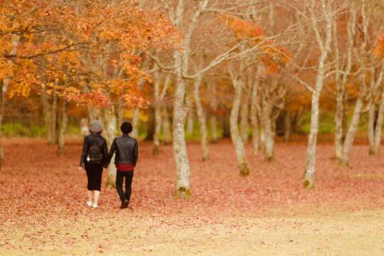 ＜PR＞コラム　「婚活道場」～秋は「恋愛」の季節～