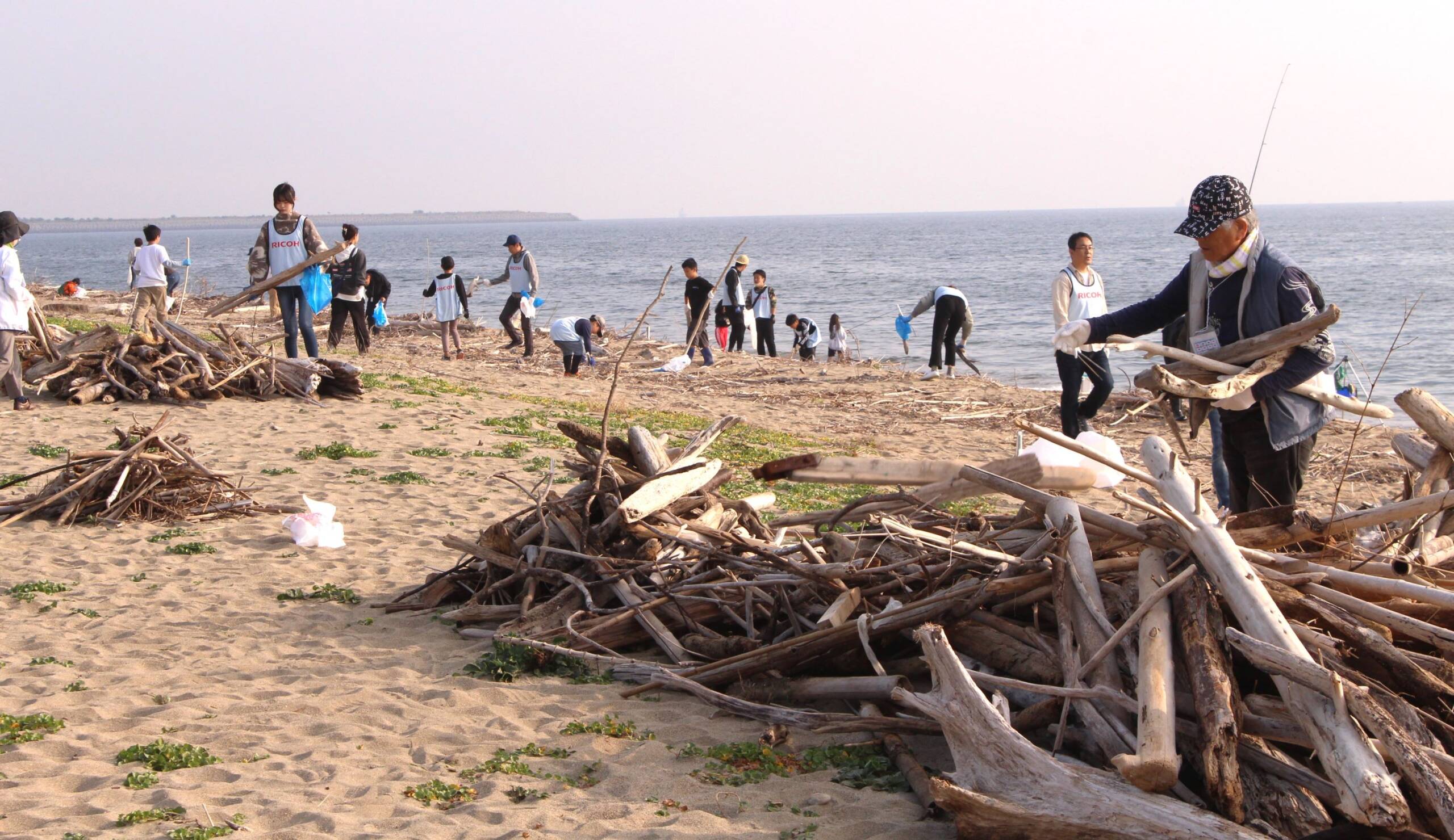 みんなで流木を集めて山に、四日市の吉崎海岸で「自然共生サイト」認定から初の清掃活動