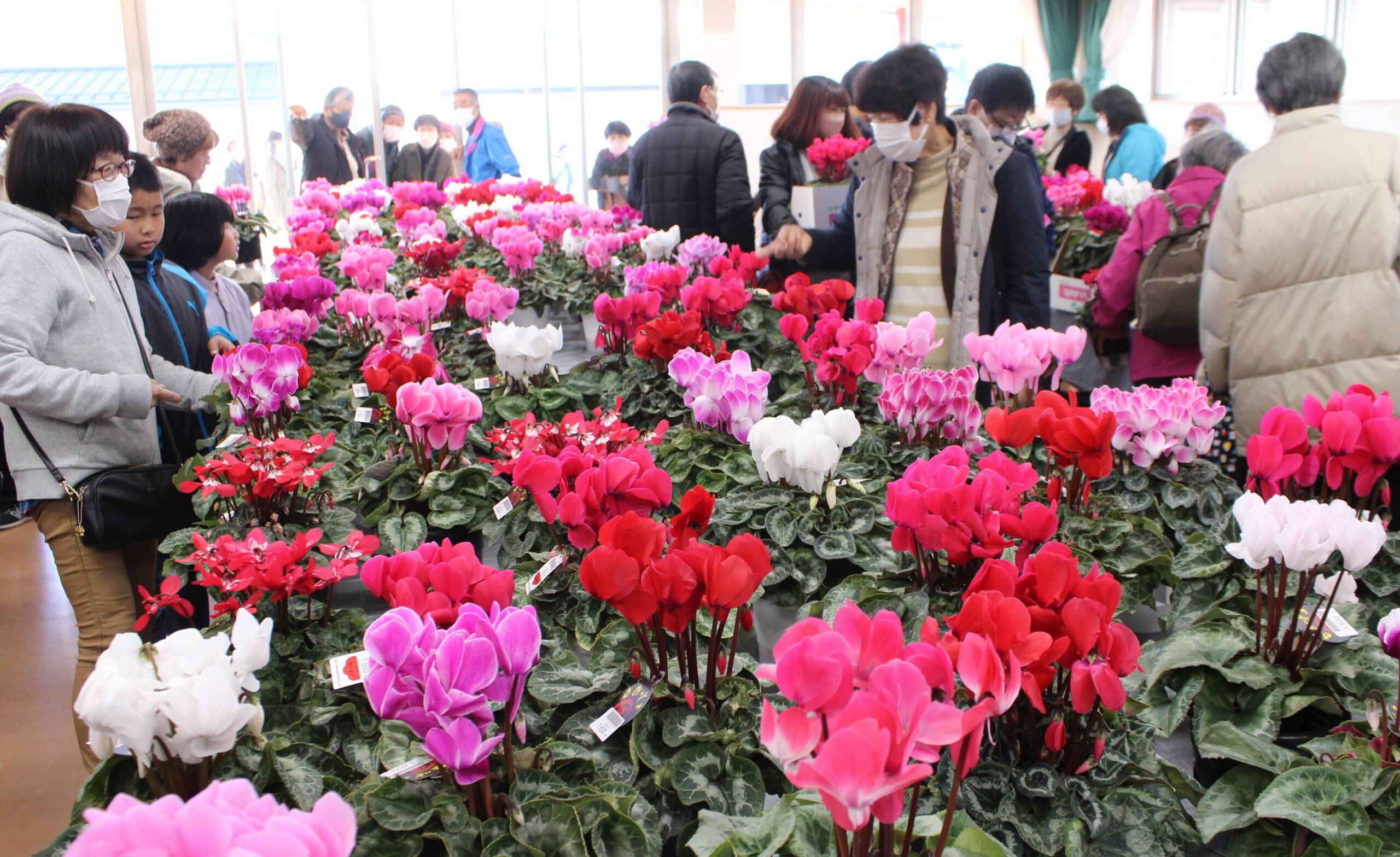 季節の花や野菜など人気、四日市市農業センターで「農業マルシェ」