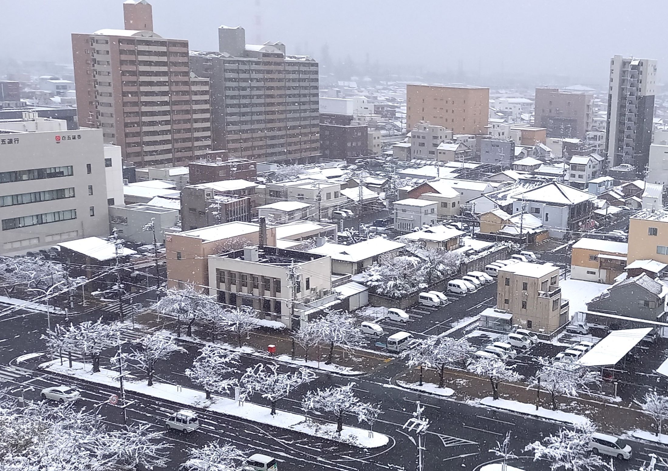 雪かきの女性など転倒、小中全59校が臨時休校、路線バスは一部運休、四日市市の雪の影響