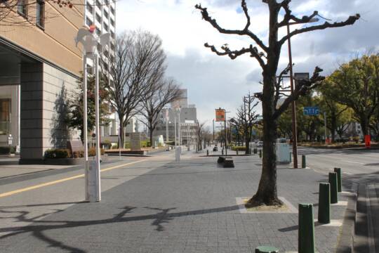 歩道や緑地帯でスポーツを、2月23日から四日市市役所近辺でモデル実証事業開催