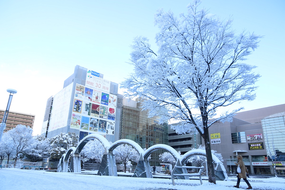 四日市の大雪警報は解除　転倒し負傷した人も　曽井町で積雪20センチ