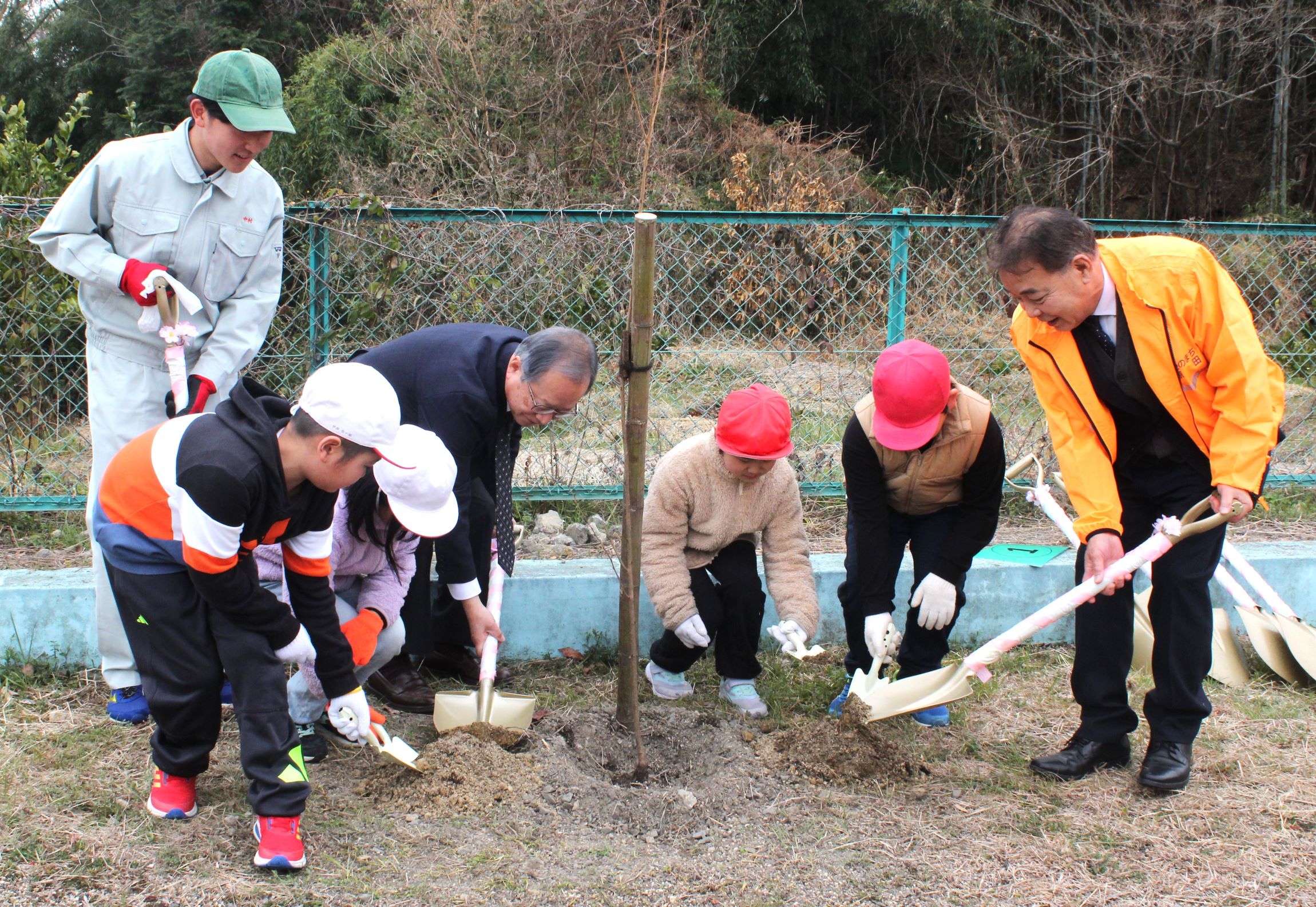 大きく育て、子どもたちも協力し桜の苗木植える、四日市の河原田地区