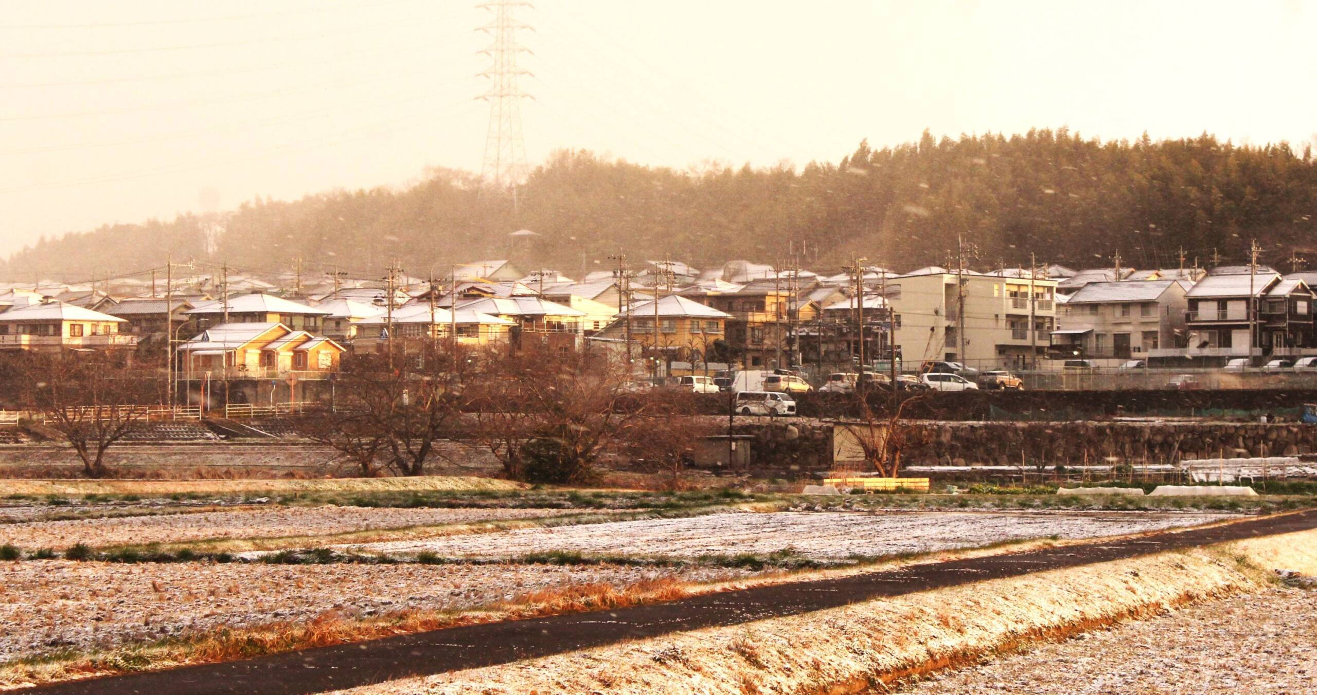 桜のつぼみも冷えた？　四日市市で早朝に雪、3月下旬の雪は2011年以来か