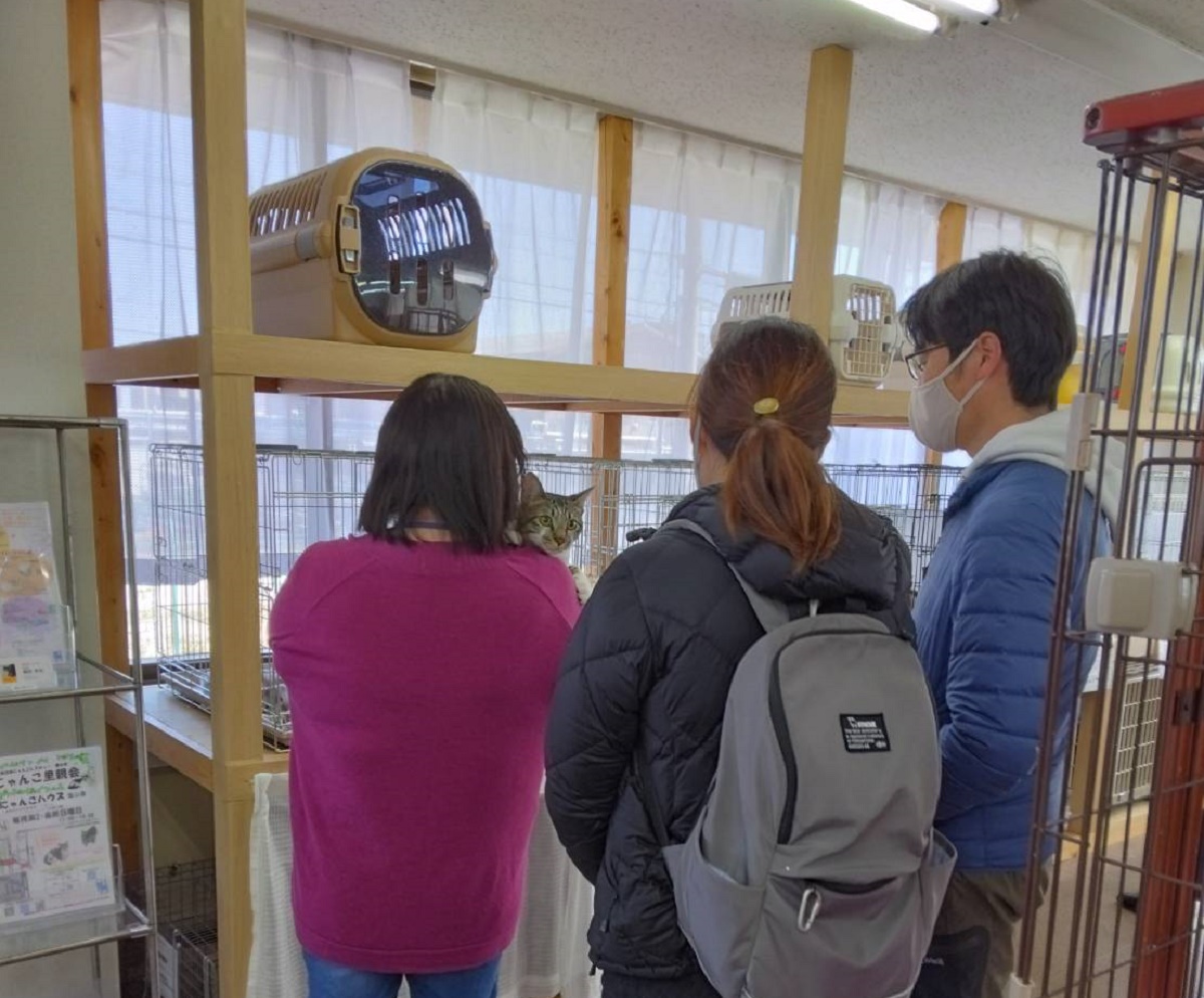 今月は臨時里親会も　「四日市にゃんこレスキュー　愛の手」　会場はにゃんこハウス海山道