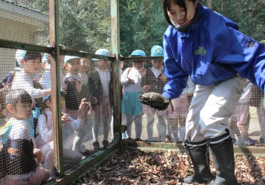 保育園児から「おはよう」、四日市の南部丘陵公園でカメが冬眠明け