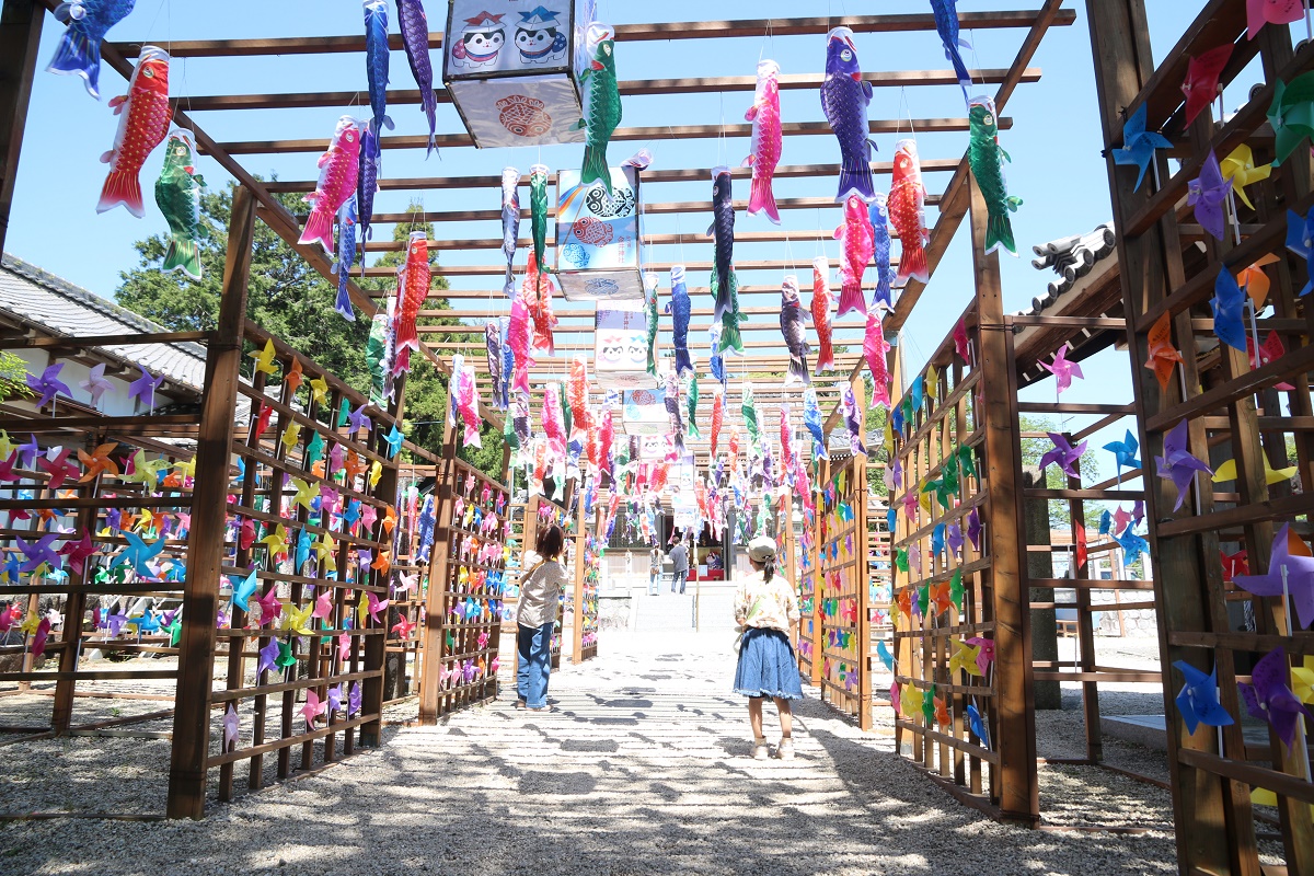 こいのぼりの飾り　境内で美しく泳ぐ　三重県いなべ市の金井神社