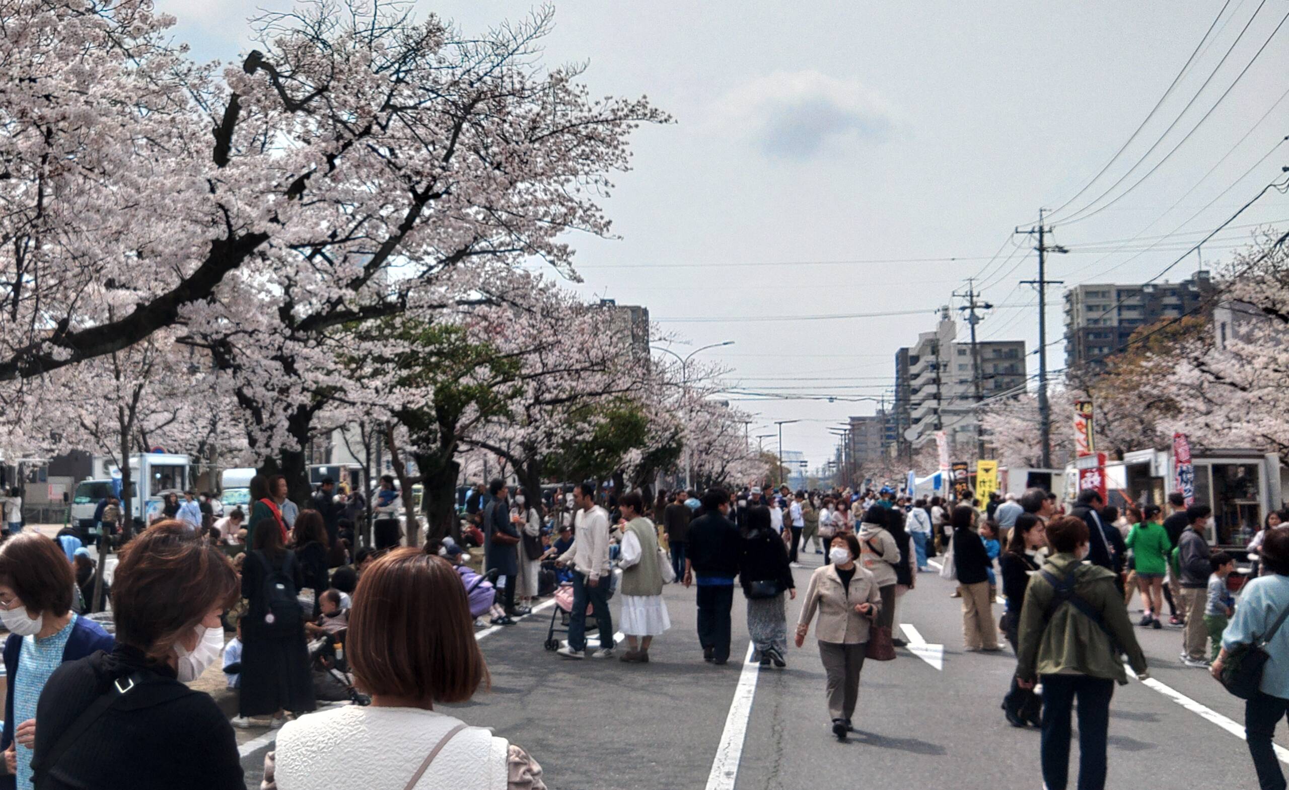 桜咲く会場にぎわう　エキサイト四日市・バザール2024開催