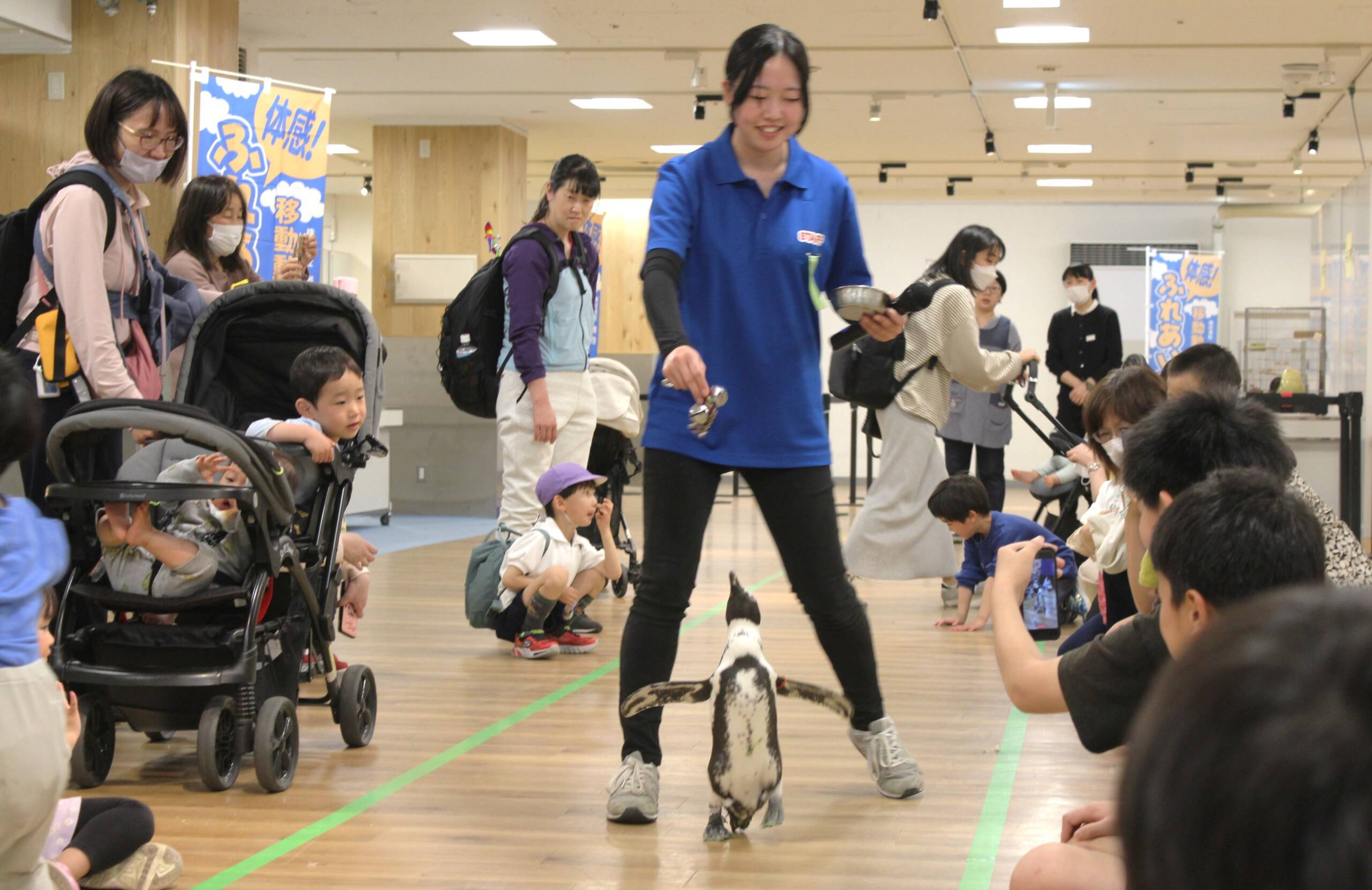 ペンギンが散歩、回転などの技も披露、近鉄百貨店四日市で「ふれあい動物園」が開幕