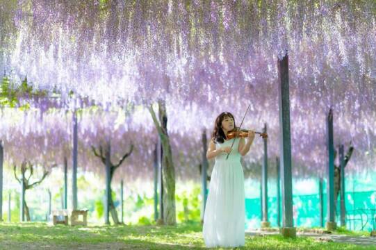 四日市在住のバイオリニスト高橋真珠さん　ピアニスト杉林岳さんとリサイタル　7月にムーシケで